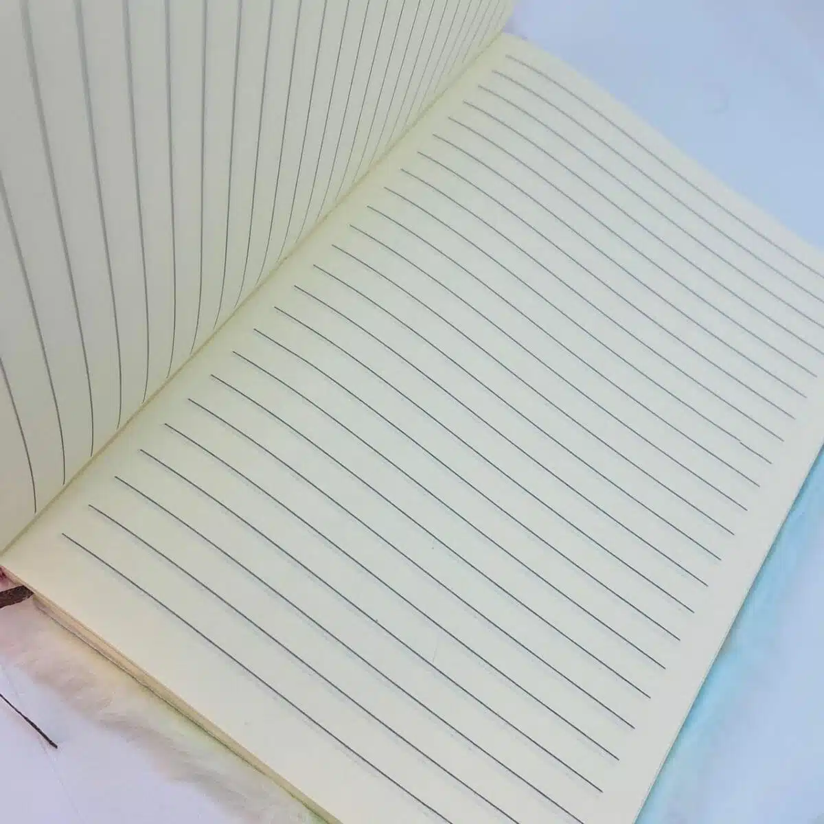 Libreta 80 Hojas Línea Horizontal Peluda con Squishy Panda - Imagen 4