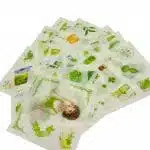 Set de 12 Cintas Washi Tape + 19 Laminas de Stickers Tonos Verdes - Imagen 3