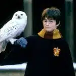 Funko Pop! Movies - Harry Potter & Hedwig / Harry Potter - Imagen 3