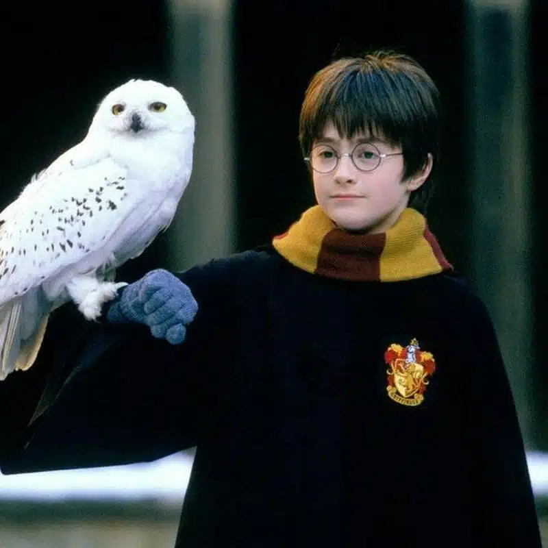 Funko Pop! Movies - Harry Potter & Hedwig / Harry Potter - Imagen 3