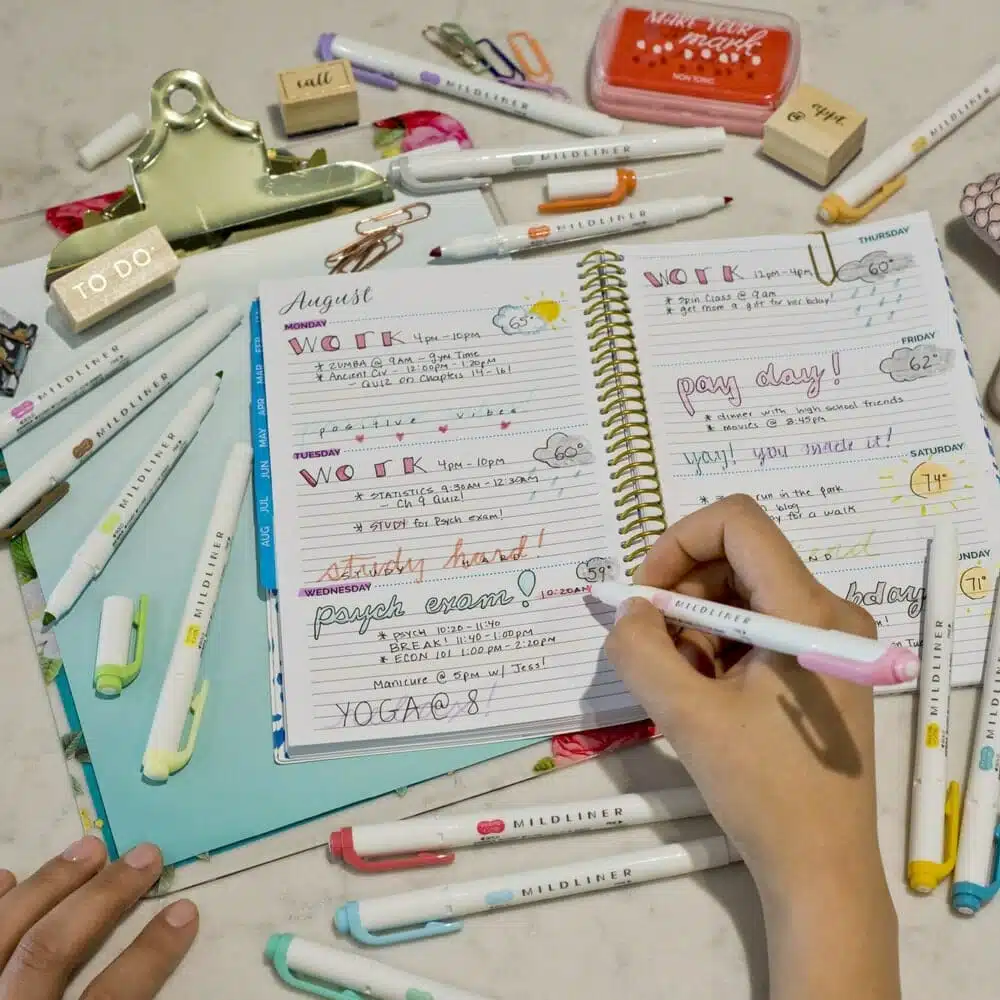 Set de 15 Destacadores Doble Punta Mildliner Creative Marker Zebra - Imagen 4