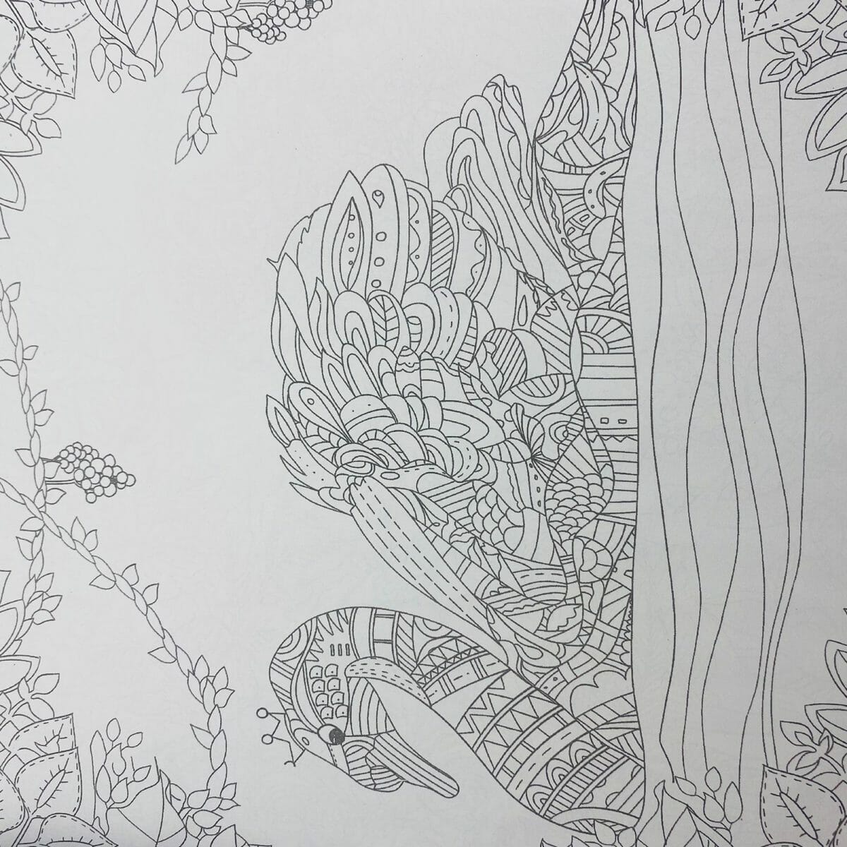 Mándala 24 Páginas Diseño The Enchanted Forest - Imagen 3