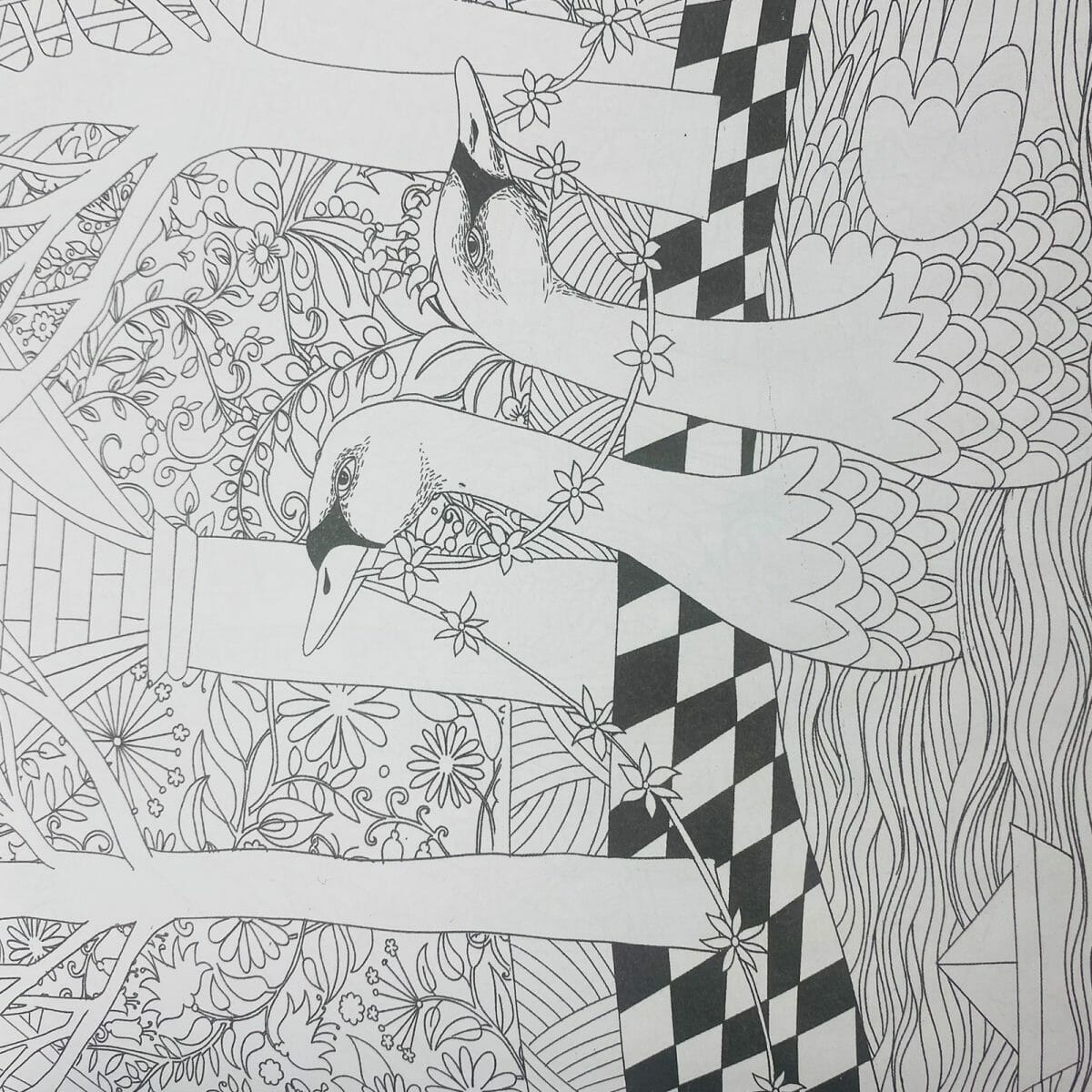 Mándala 24 Páginas Diseño The Enchanted Forest - Imagen 5