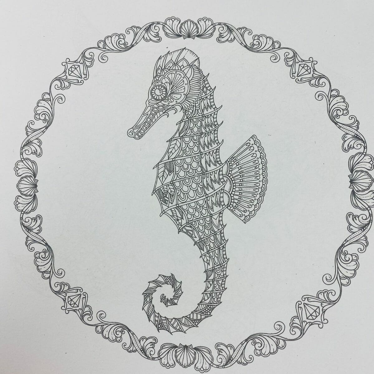 99356767661_3 Mándala 24 Páginas Diseño Lost Ocean - Imagen 3