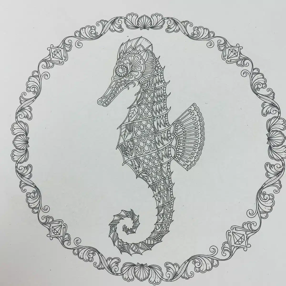 Mándala 24 Páginas Diseño Lost Ocean - Imagen 3