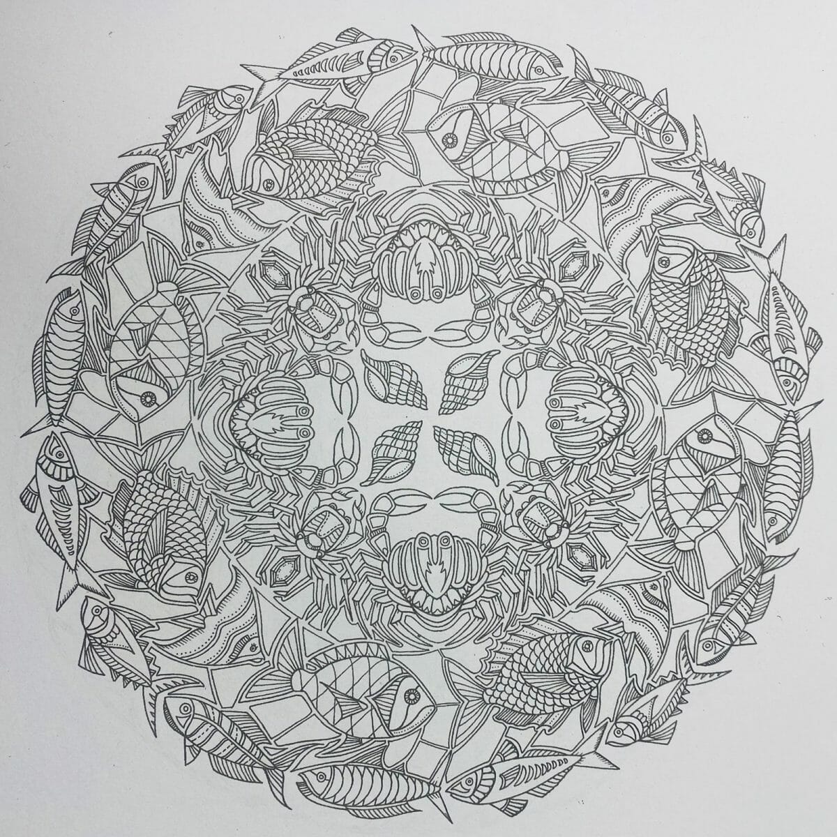 99356767661_5 Mándala 24 Páginas Diseño Lost Ocean - Imagen 5