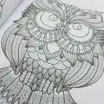 Mandala 128 Páginas Diseño de Animales - Imagen 3