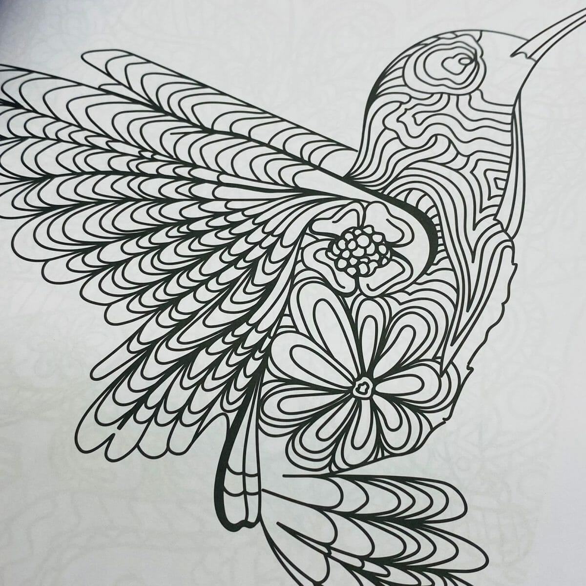 Mandala 128 Páginas Diseño de Aves - Imagen 3