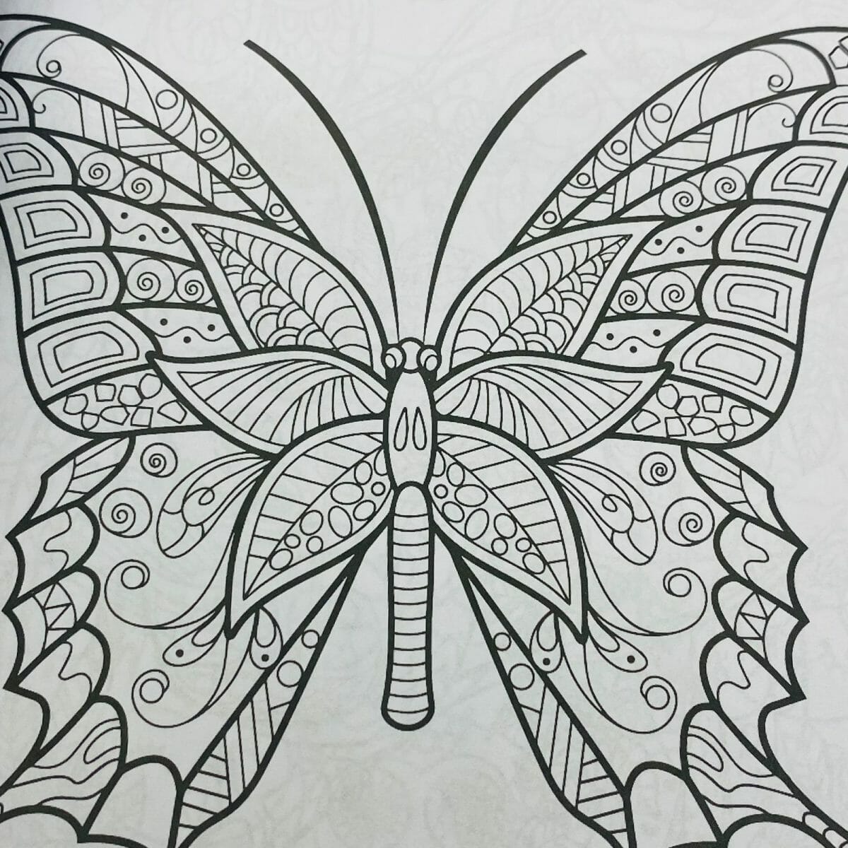 Mandala 128 Páginas Diseño de Aves - Imagen 5