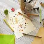 Set de 15 Marcadores Stabilo Pen 68 en Estuche Rosado - Imagen 6