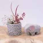 Pasta para Modelar Gris Jovi Air Dry Clay (Elige Tamaño) - Imagen 6