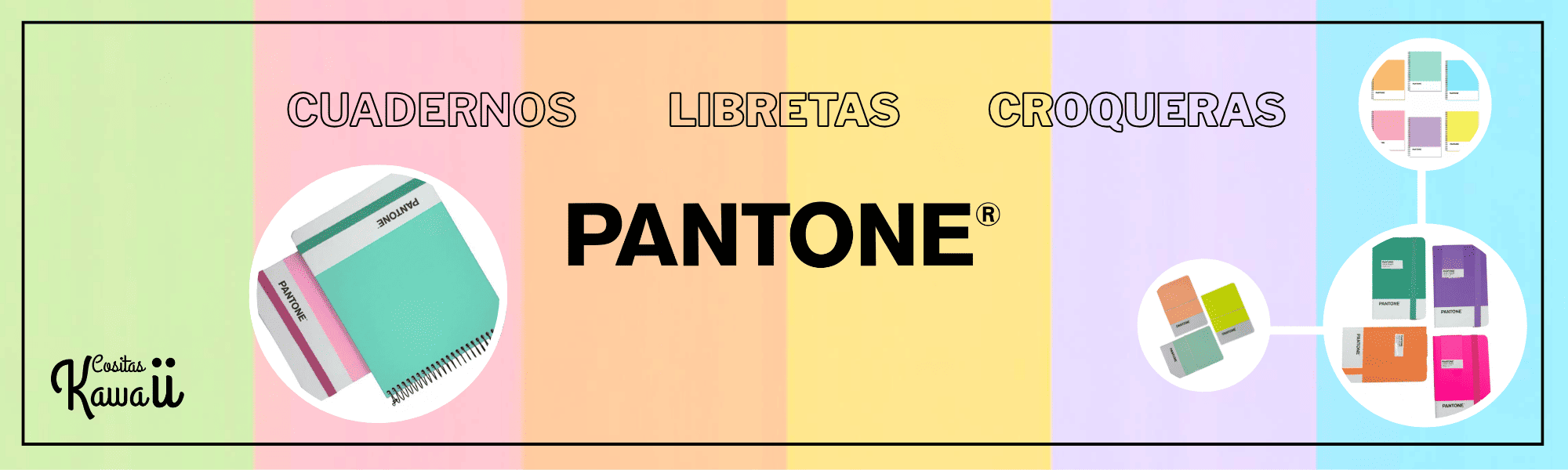 banner pantone principal 16-09-2025