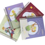Cuaderno Pocket 100 Hojas Cuadriculadas 5mm El Principito Multiverso (Elige Diseño) - Imagen 2